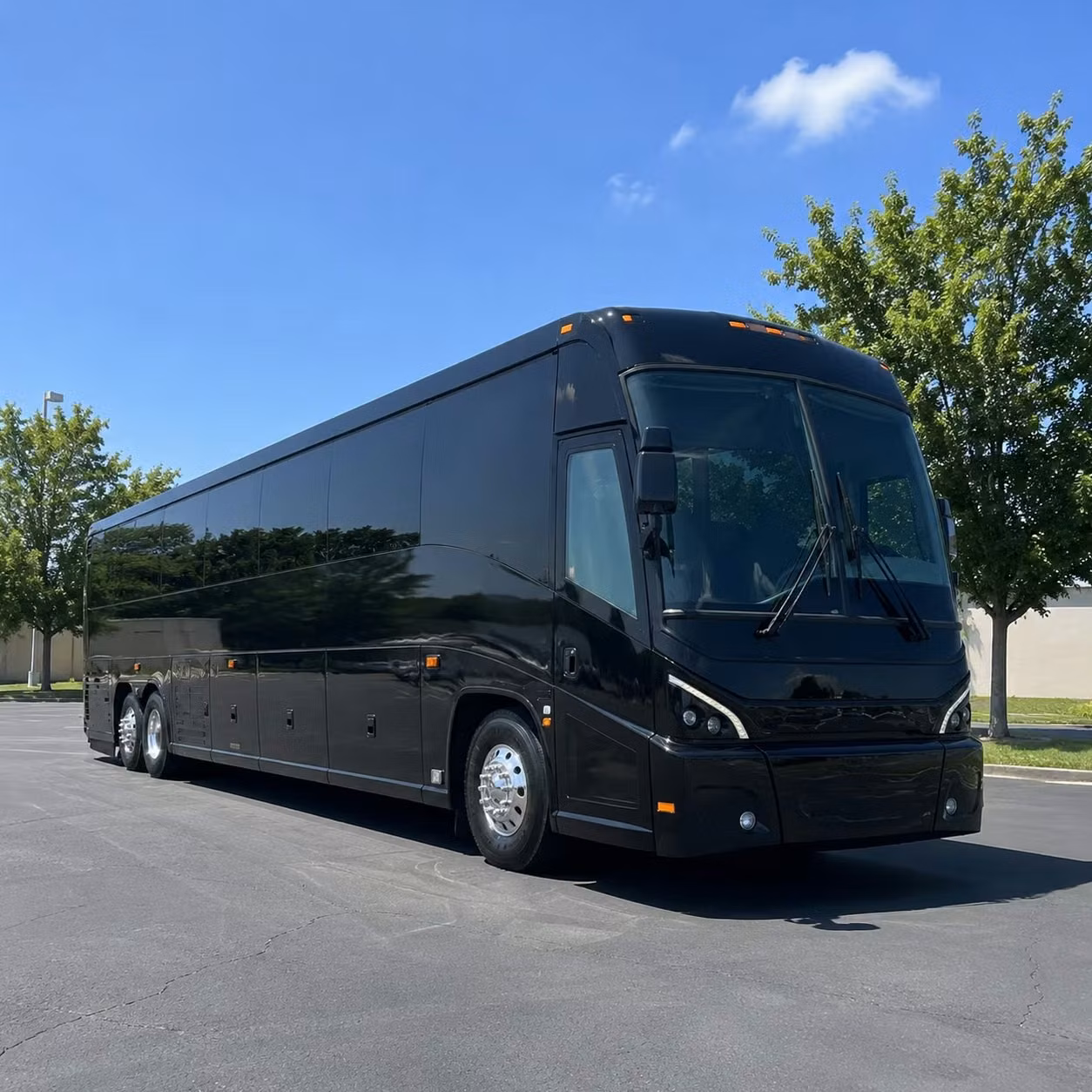 56 passenger charter bus