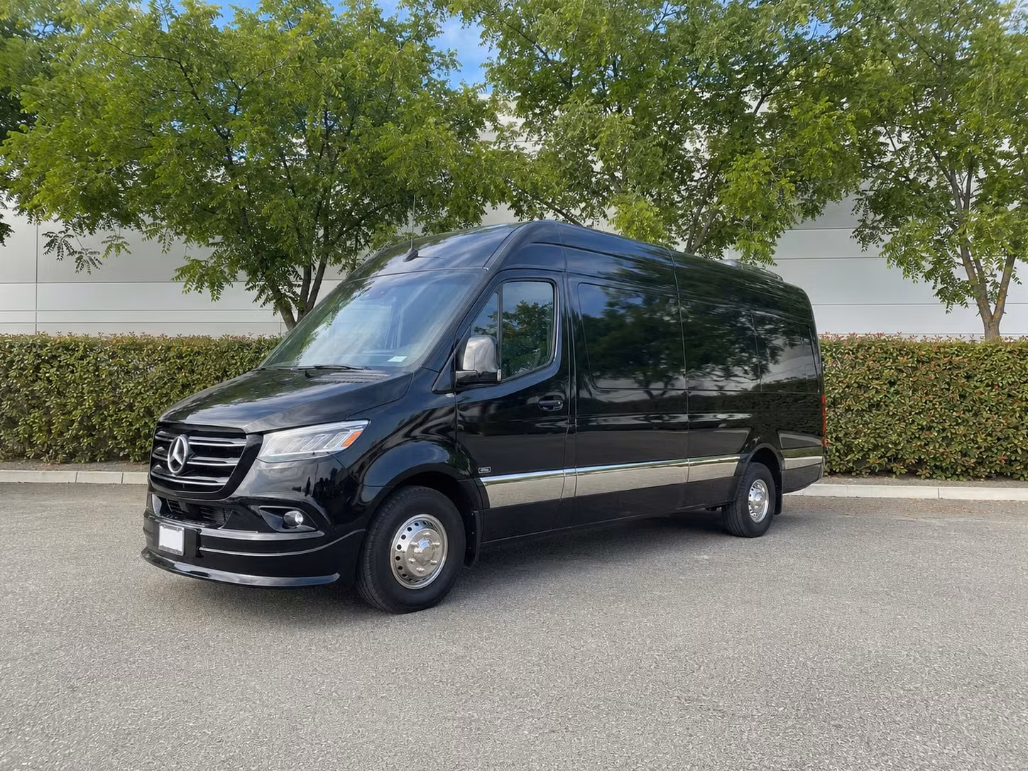 sprinter van with driver